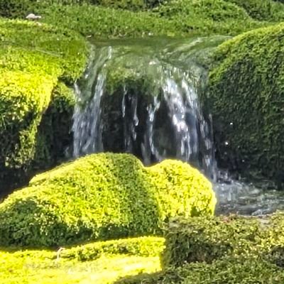 Shine20050428's profile picture. 