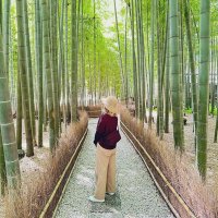 Rumi🤍🕰️🐣 (@rumizuka_sz) 's Twitter Profile Photo Rumi🤍🕰️🐣 (@rumizuka_sz) 's Twitter Profile Photo