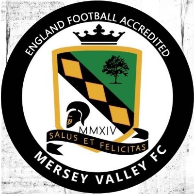 @MerseyValleyFC 1st Team - Official Twitter account. Members of the @CheshireFL
