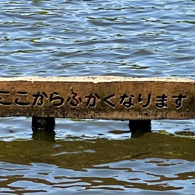 キヨレト&Top4&最俺(レベスリ行ったよ&ドーム参戦済) コナン(爆処が好き)、西川貴教兄貴と鬼滅の刃(しのぶさん推し) 艦これ(2年してました)影響で、海上自衛隊の護衛艦が好き、陸と空も好き&大谷一佐に憧れて2022年1ヶ月だけ海上自衛官になり、元海上自衛官になりました。昔のアニメが好き(渋い女です)。