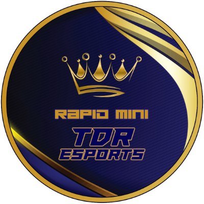 Twitch Streamer - RapidMini
ProspecteRacingLeague (1x WDC)
RapidContractLeague (2nd in WDC)
Partnered with @swiftlifestyles - Code - Kronix - for 15% off!!