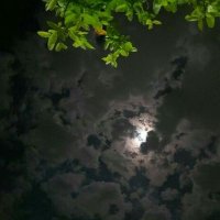 لا (@ruweeeee4) 's Twitter Profile
