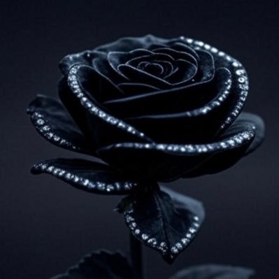 ahan_li's profile picture. A Chrstian, a mom, a fml doc. love medicine, humor, food, silliness, some politics. genuine love for everyone, esp cats. #jokes. #romanticism. #assistedsuicide