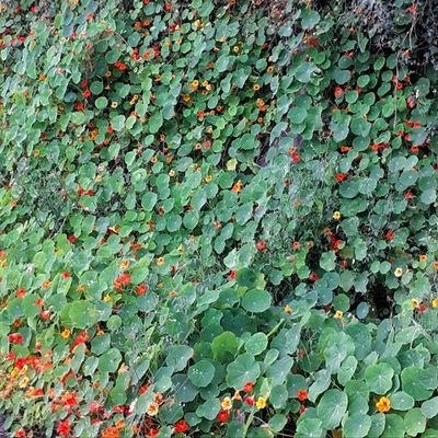 soeui3689's profile picture. 바른세상을꿈꾸며..