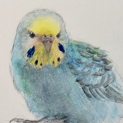 MAO🐦️さんのプロフィール画像