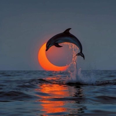 YEOND719911's profile picture. 