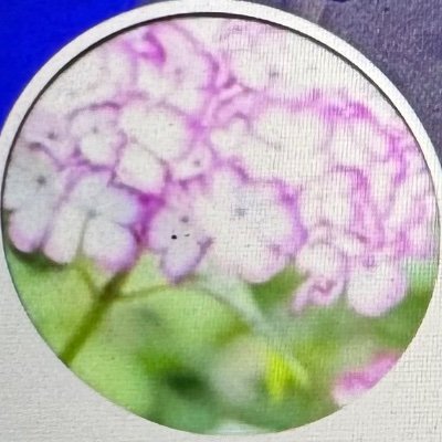 新しく作り直しました。 現場は予定が合えば【優先順位、案件→イベント】データに関してDM解放されてるチームのみお渡ししてますのでご了承を。 #ぽんぽん写真