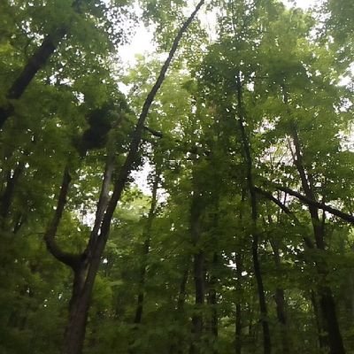 Detained & medicated without consent.
Seeking reform & legal accountability. 📎 https://t.co/3xTjhj7wd0