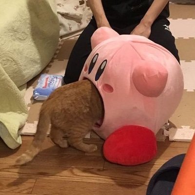 Yulryさんのプロフィール画像