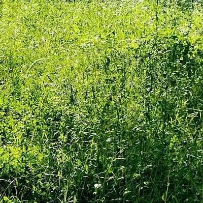 nfudr3by's profile picture. 