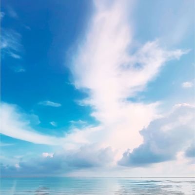 🇯🇵日本を取り戻そう!
🟠参政党関連の、動画、LIVE、情報どんどん貼ります‼️
コメント、引用リポストで拡散力爆上がりします❤️🔥
みんなのチカラで押し上げよう🙌
#参党支持者と繋がりたい