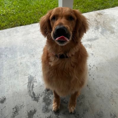 DayTradinPT's profile picture. 24 - Male - Married.