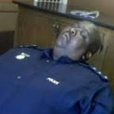 lizwimngun66774's profile picture. 