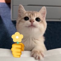นี่แหละๆๆๆ (@pnkm0391) 's Twitter Profile