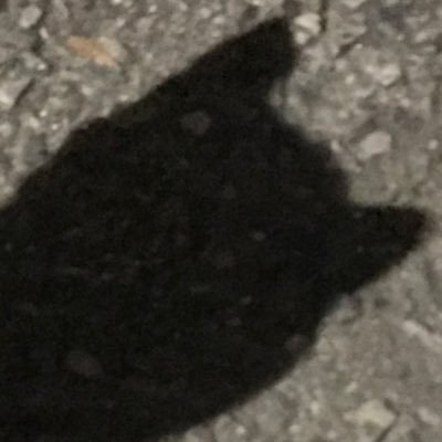 好きな人をすきになる🍫💘🪐🥩🧸♔⏰