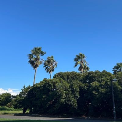 Kou714_823's profile picture. nitech20 生命応化物質 パーラゆるふわ