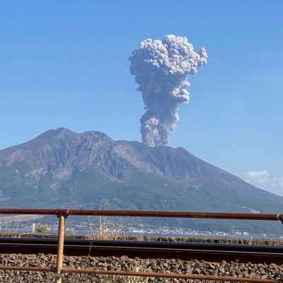 yy2112860000's profile picture. はろ