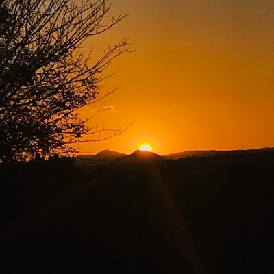 cd_theo's profile picture. 