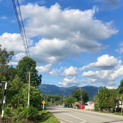 palm29516163's profile picture. 