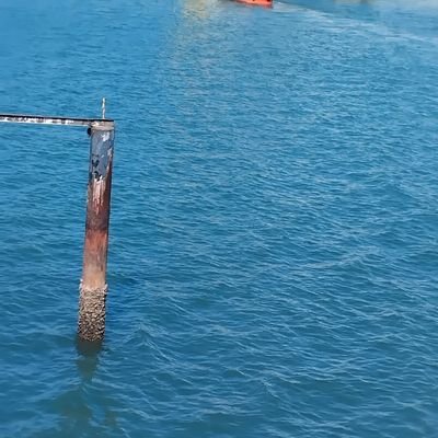 KelvinPatr53715's profile picture. 