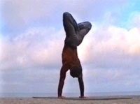 PerryPeck's profile picture. • Approximately 25% of all insecticides and more than 10% of the pesticides used in the world are used to grow cotton.