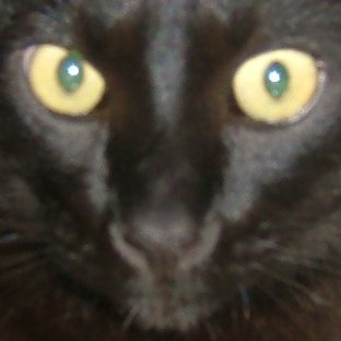 imperiamic's profile picture. "No hay mal que por bien no venga"