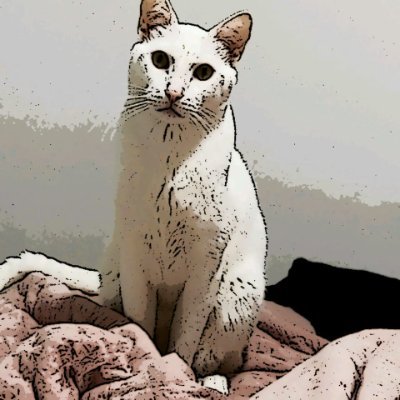 warmi84's profile picture. "El progreso es una fiesta"