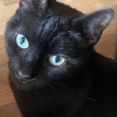 Budeka9's profile picture. 