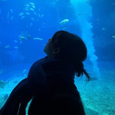 fullpeachyy's profile picture. ❤️⭐️🌙🦋