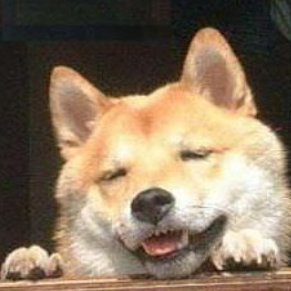 あきさんのプロフィール画像