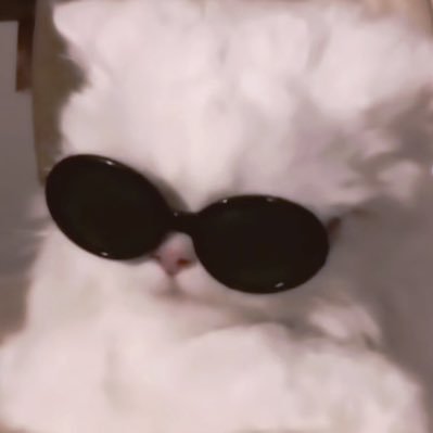 _anp4n_vrc's profile picture. 