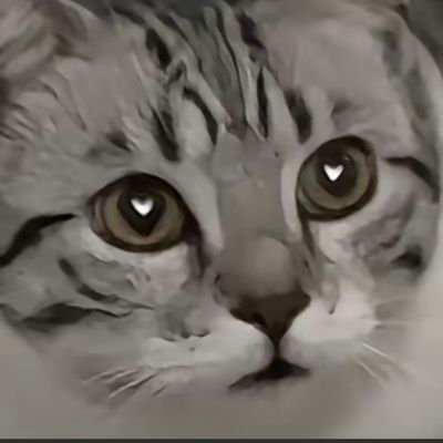 RB8214's profile picture. 我会永远玩守望先锋