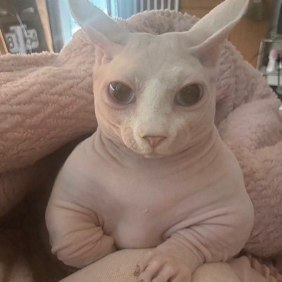 wwwwwwww2626's profile picture. ร้อนๆเลยร้อนๆ