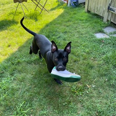 JNTravers's profile picture. 