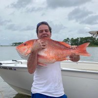 Richard Tippy (@richardtip3413) 's Twitter Profile