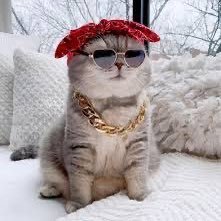 Super_kak366's profile picture. 