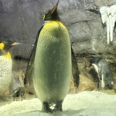 推しの応援垢＆裏垢になってます。裏の顔が見たくない方は自己防衛してね。