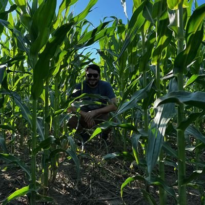 Mas que Libertario, Mileista, Rednek, Hillbilly y orgulloso cabecita negra...
GORDO CAMPO. Aveces me dedico a la Ingeniería
una vez estudie Cum Laude