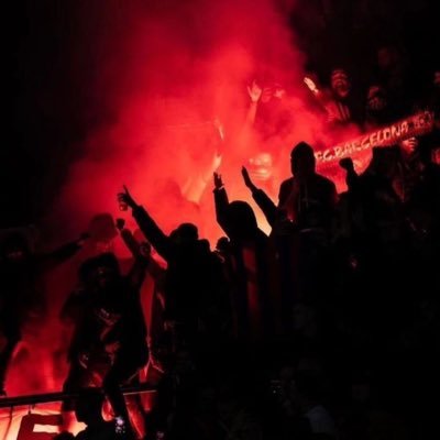 verd50997's profile picture. 