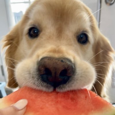 manyayayy's profile picture. smoothhhhh operatoooorrrrrr