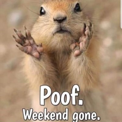 goodness6669's profile picture. 