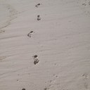 kent douglas - @kentd78 - Twitter