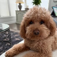 21LbsofHappyandMawm (@23lbsofhappy) 's Twitter Profile Photo