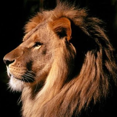 Gilbero85235011's profile picture. Uma sociedade justa para todos!!!