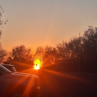 GTamaweto473501's profile picture. ....🐢

🐌....