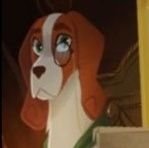 Prosperofversi's profile picture. 31 IRL  No Age In Bio NO FOLLOW