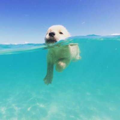 simmons_an35671's profile picture. 