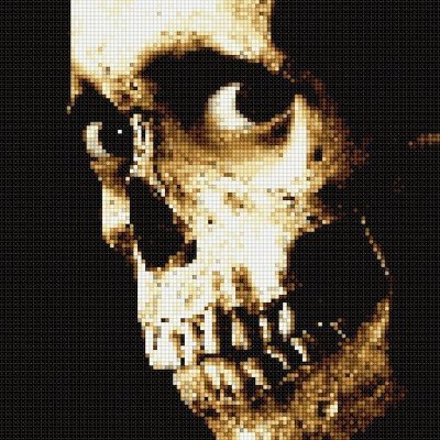Developer, UNIX-like systems, splatter movies and horrendous music.