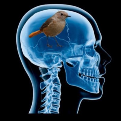 dustydurango's profile picture. legend. Renaissance artist.