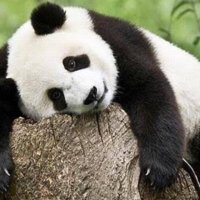 önemsiz (@bdrb_0024) 's Twitter Profile
